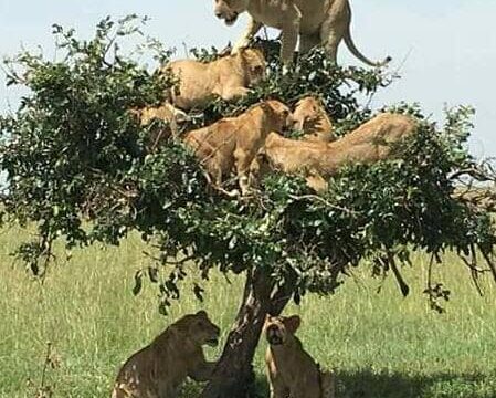 Experience Tanzania (Tanganyika)