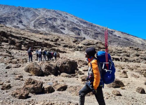Kilimanjaro Cimbing Via Marangu Route (Coca-Cola Route)