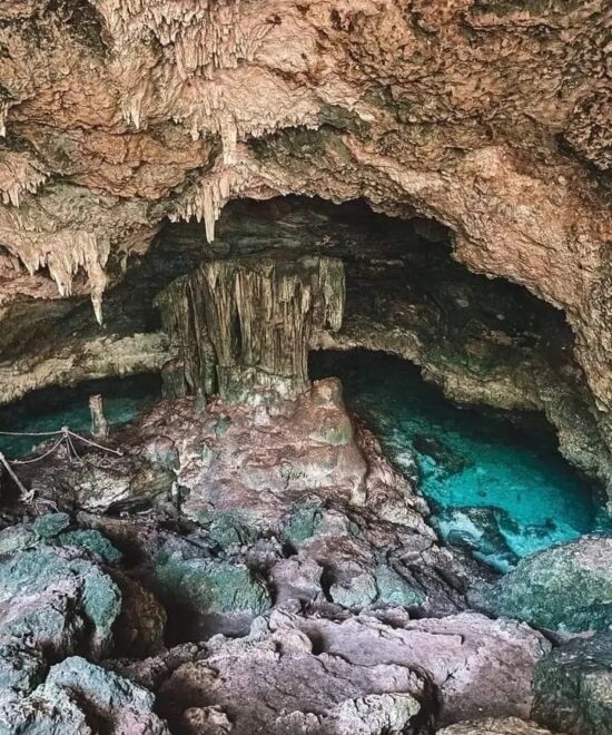 Zanzibar Island Excursion