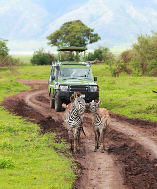 Serengeti National Park