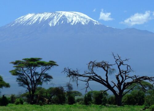 Kilimanjaro Climbing Via Lemosho Route