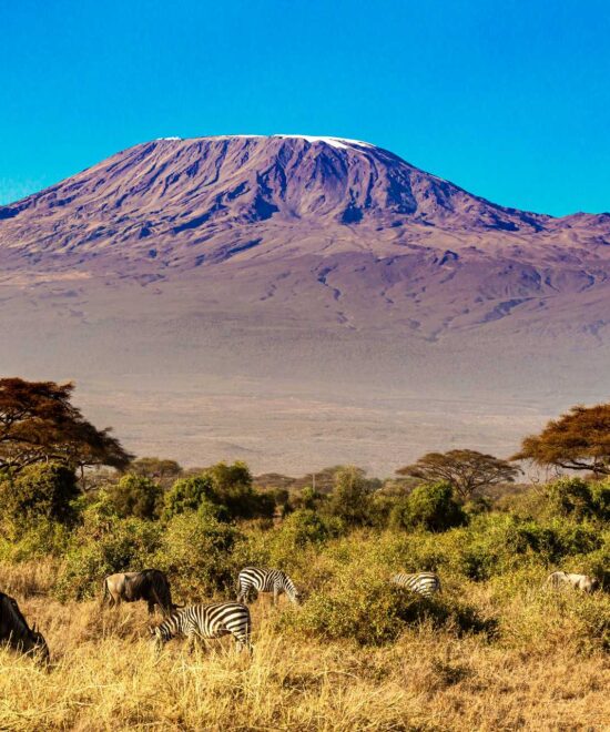 Kilimanjaro National Park