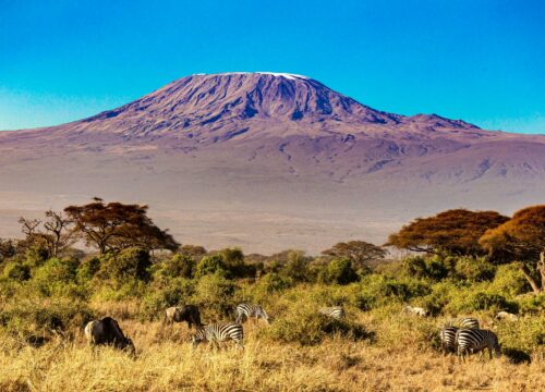 Kilimanjaro Climbing Via The Northern Circuit Route