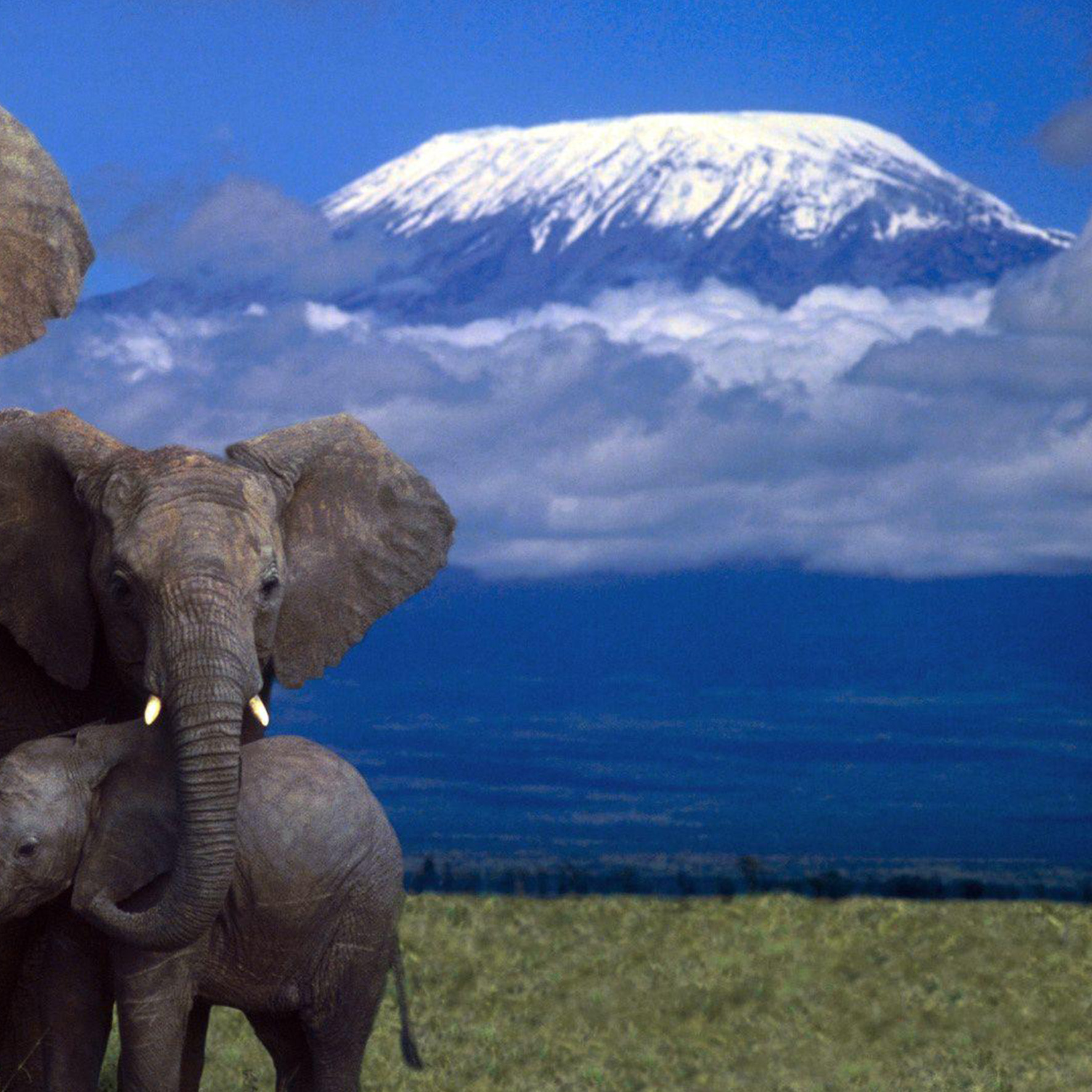 Kilimanjaro National Park