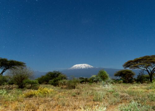 Kilimanjaro Climbing Via The Rongai Gate
