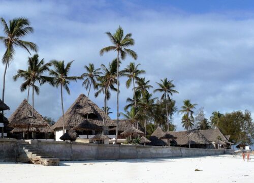 Zanzibar Island Tours & Excursion