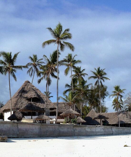 Zanzibar Island Tours & Excursion